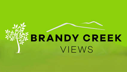 Need Land -  Brandy Creek Logo